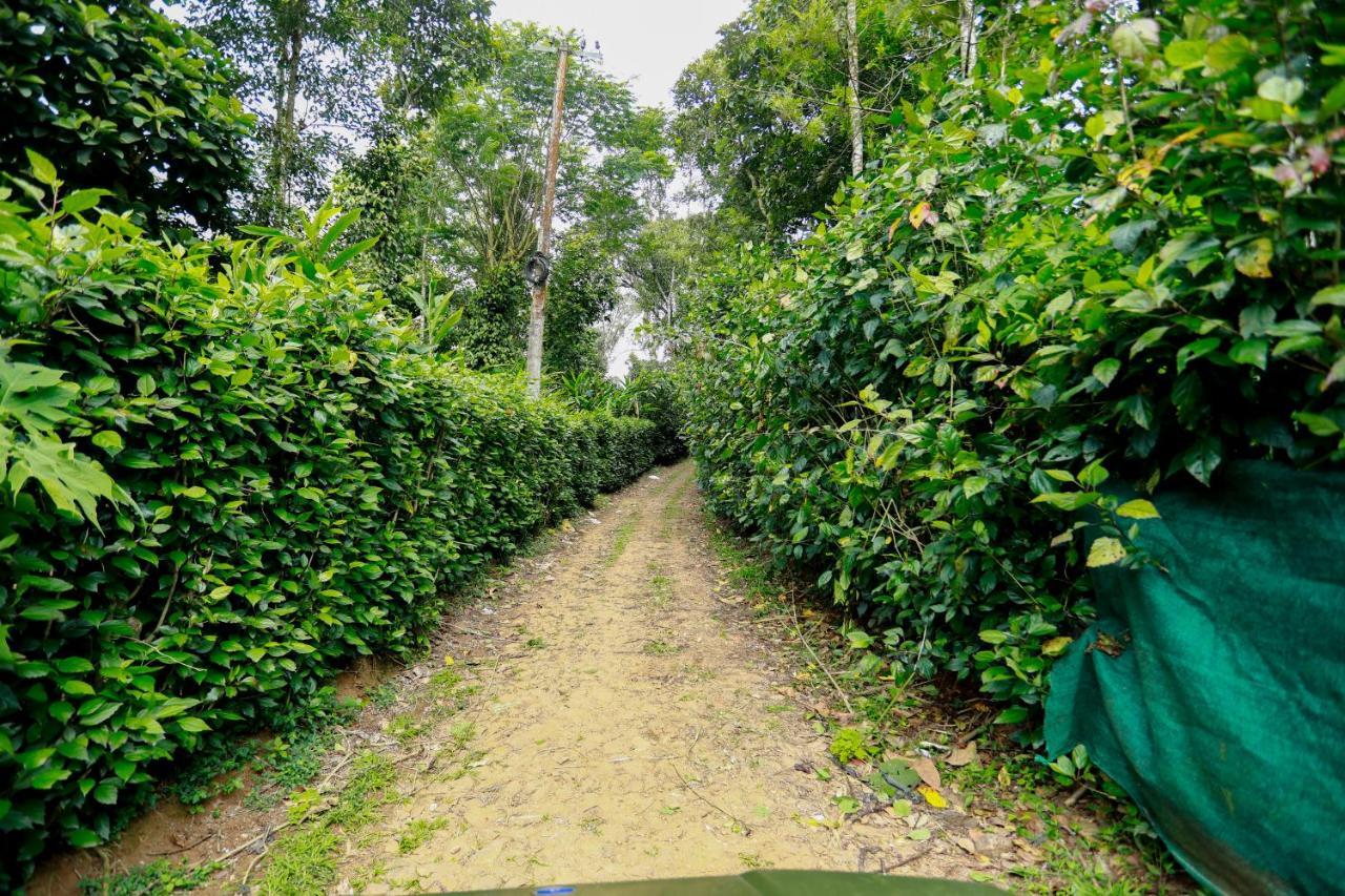 Thekkady Kalarickal Heritage Bungalow Vandanmedu Kültér fotó