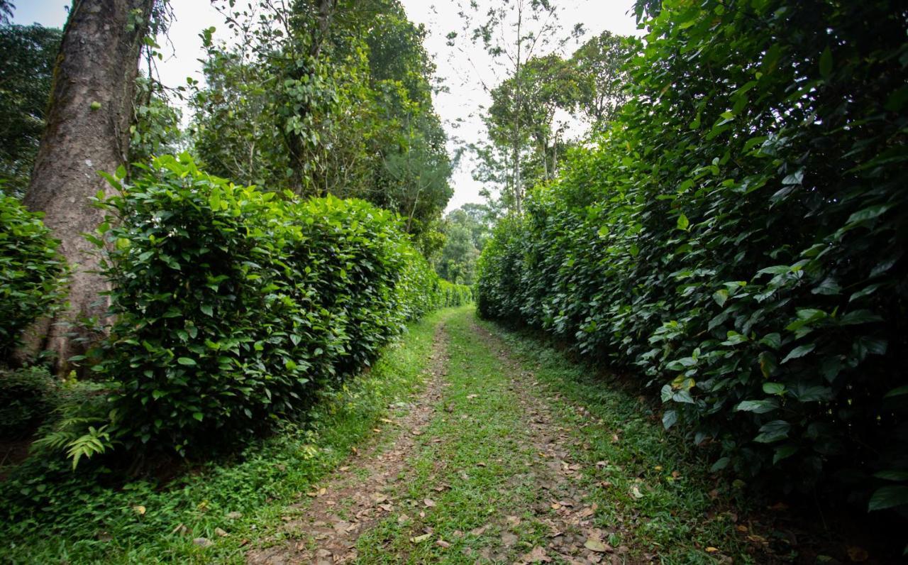 Thekkady Kalarickal Heritage Bungalow Vandanmedu Kültér fotó